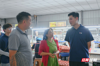 合拍的00后&middot;三下鄉丨巖園村的 &ldquo;玩具經緯&rdquo;:一針一線,織就鄉村振興的溫暖圖景