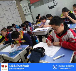 內蒙古樂心教育咨詢有限責任公司