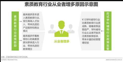 2020年中國素質(zhì)教育行業(yè)研究報(bào)告 